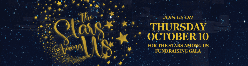 Fundraising Gala Website Banner